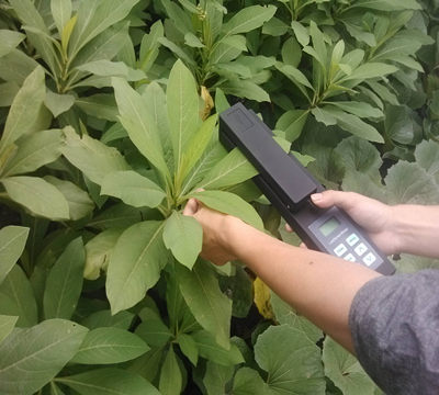 活體葉面積測(cè)量?jī)xLAM-B