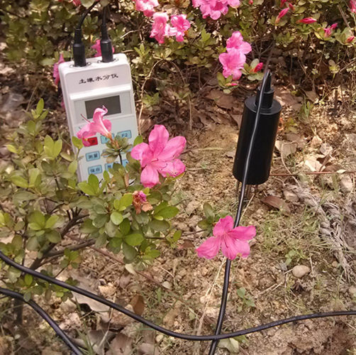 土壤水分儀LTS-50G型